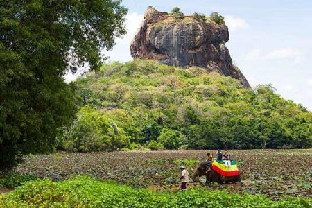 Majestic Sigiriya